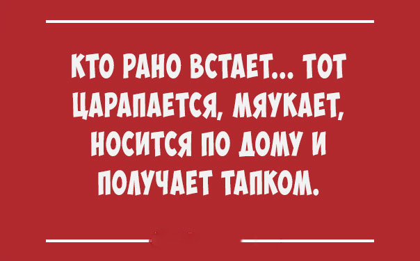 Всем смеяться в виброрежиме! Винегрет из шуток, статусов и приколов приколы