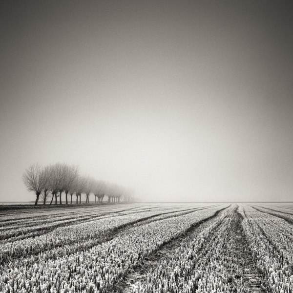 Тишина в чёрно-белой фотографии Пьерра Пеллегрини современные