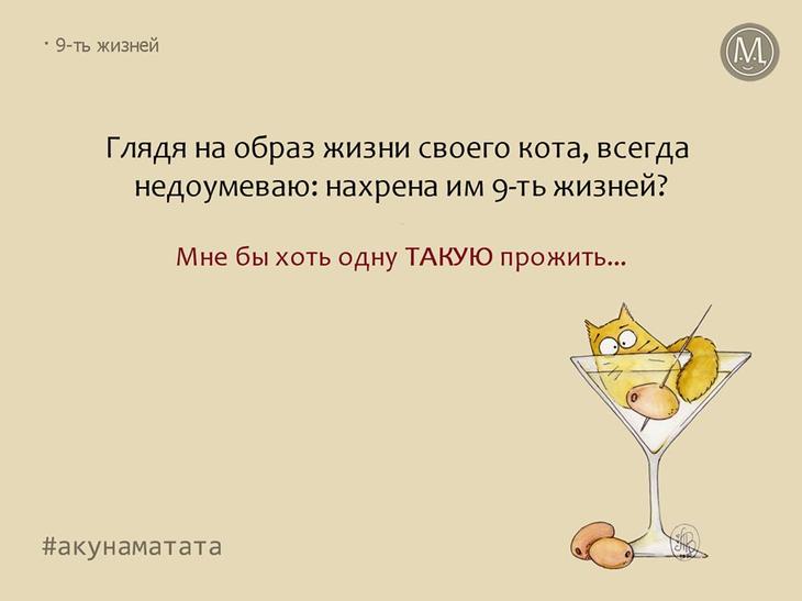 Чтоб посмеяться от души: подборка юмора и всяких забавностей