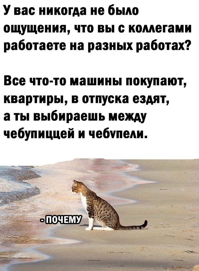 Смешные картинки про работу, жизнь и верное решение 