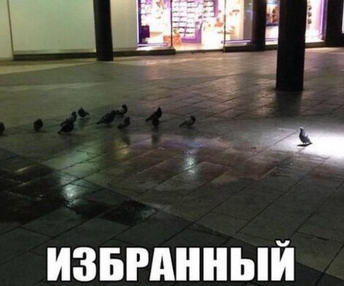 Как боролись со скукой наши родители, до того как изобрели Интернет? Как боролись со скукой наши родители, до того как изобрели Интернет? веселье,демотиваторы,истории из жизни,приколы,смех,юмор