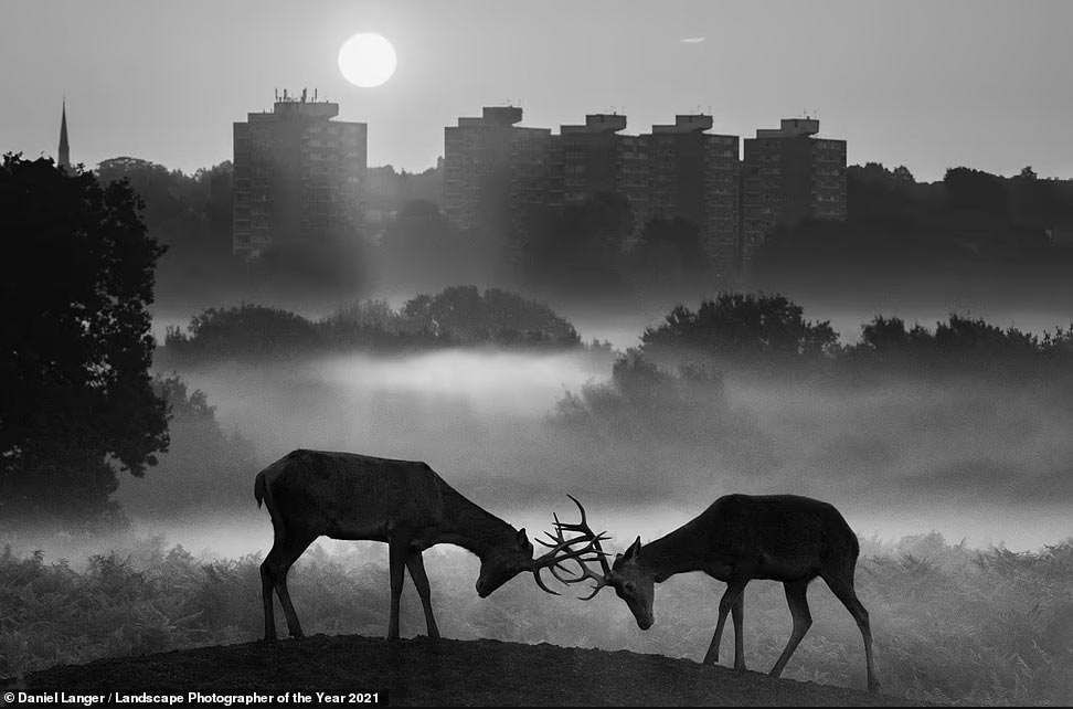 Лучший пейзажный фотограф 2021 природа,Путешествия,фото