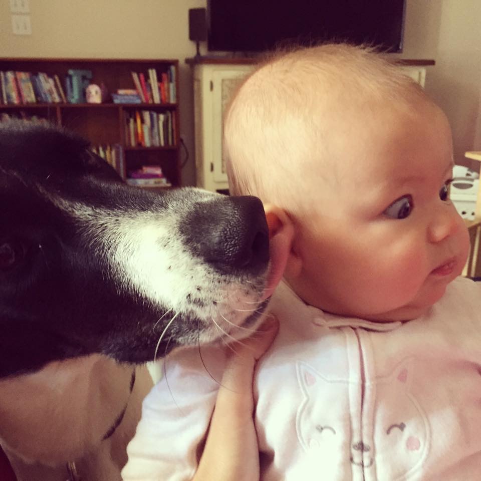 Дети и собаки всегда естественны! Дети и собаки всегда естественны! фотография