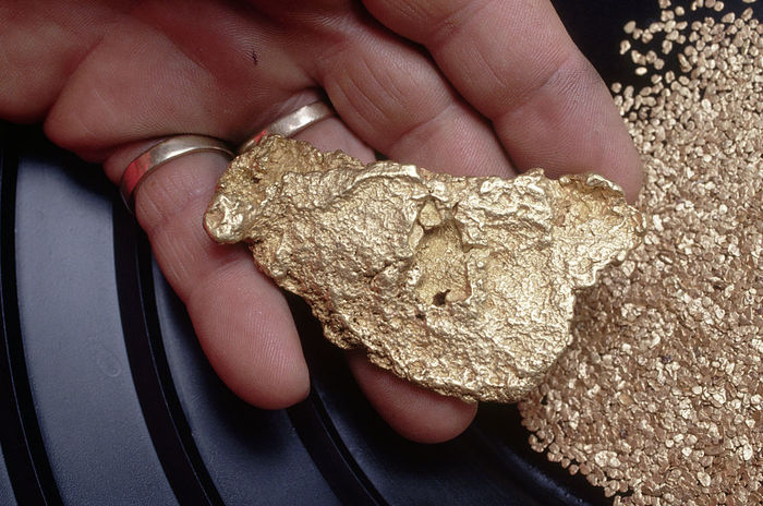 Презренный металл: 11 фактов о золотой лихорадке. Золото, Золотая лихорадка, История, Длиннопост