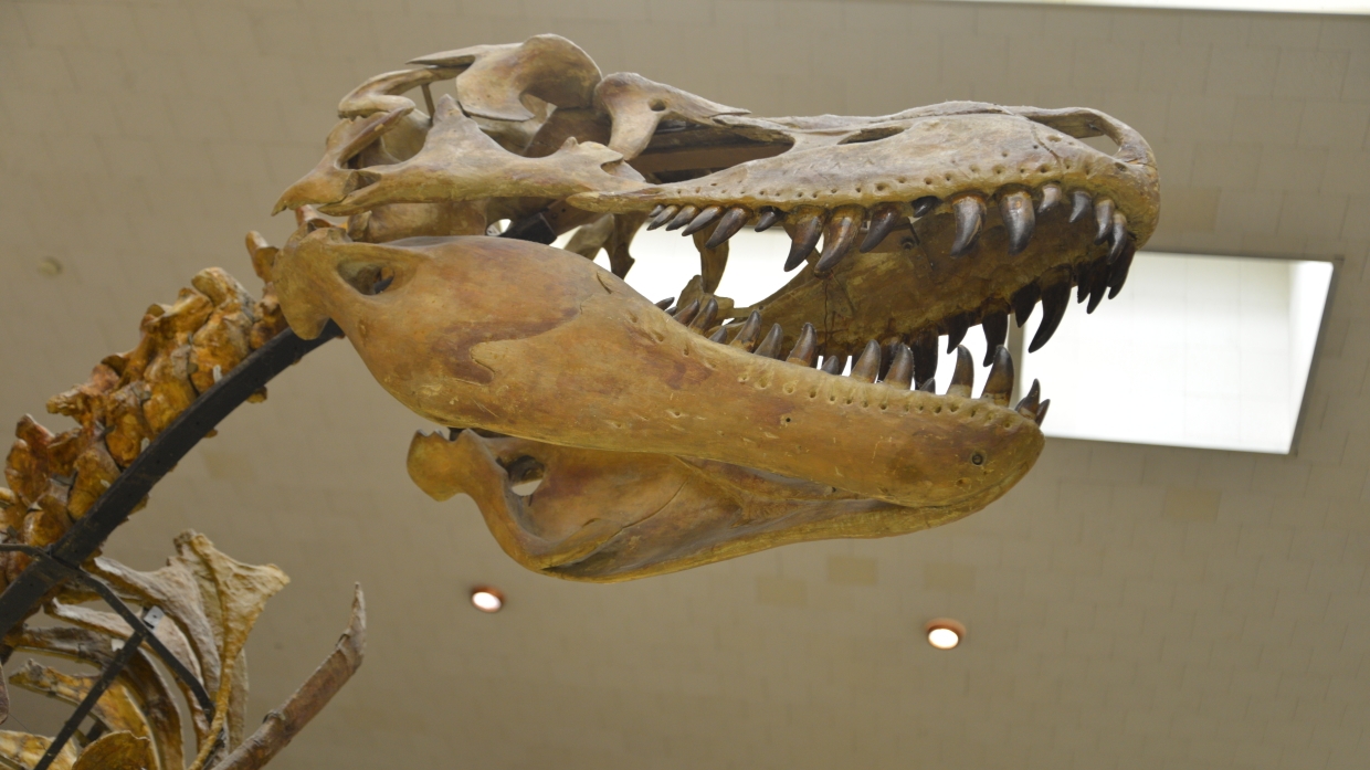 Российские палеонтологи нашли «затерянный мир» Конан Дойла