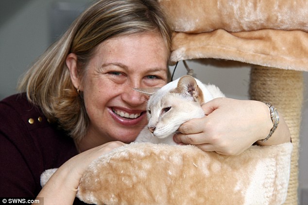 image-a-179_1459089771005