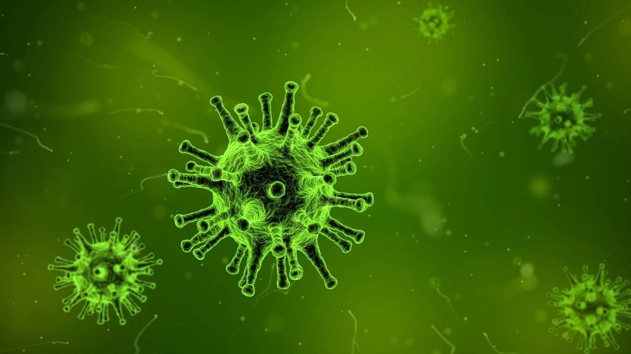 Российские медики за прошедшие сутки выявили  37 678 новых случаев коронавируса