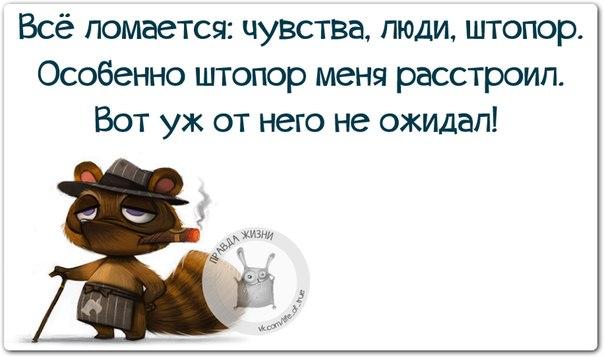 Прикольные картинки с позитивными фразочками Прикольные картинки с позитивными фразочками