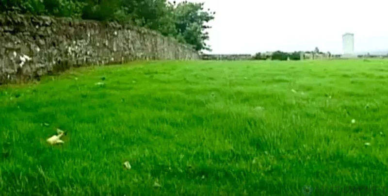 В шотландском приюте были обнаружены сотни трупов маленьких детей дети,криминал,приюты,происшествия