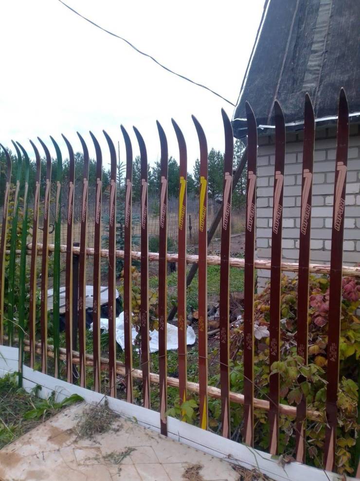 Подборка картинок. Вечерний выпуск  приколы,смешные картинки,юмор