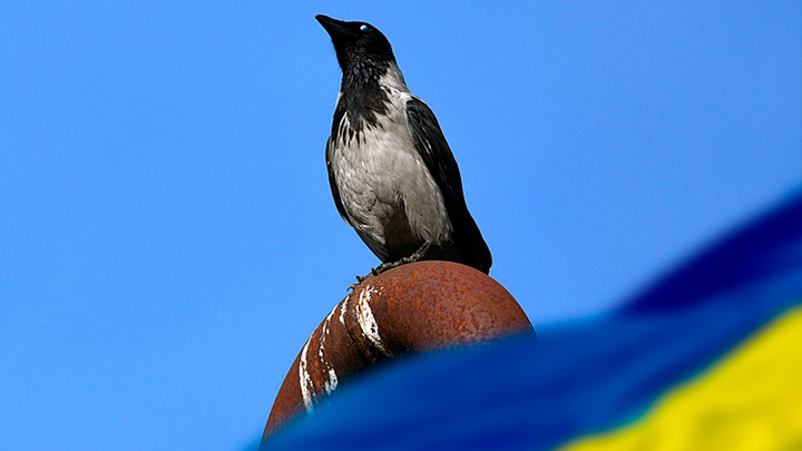 В КИЕВЕ ЗАПЛАКАЛИ. ГАЗОВЫЙ УДАР ОТ РОССИИ