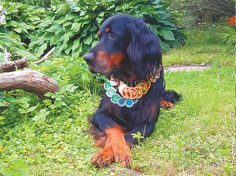 Фото автора.
