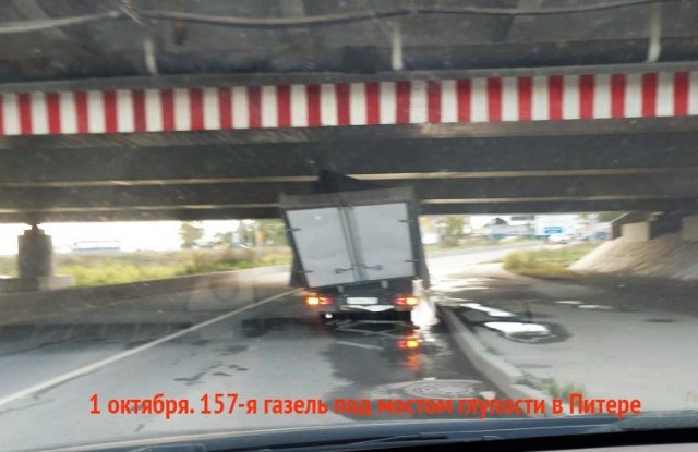 Типичный Санкт-Петербург Типичный Санкт-Петербург