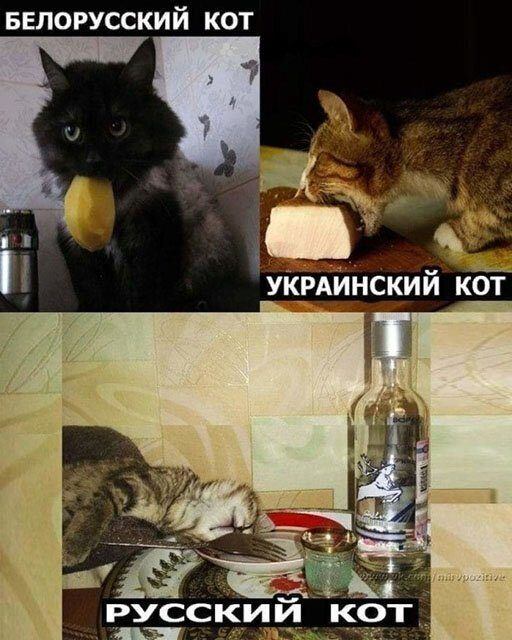 Чтоб посмеяться от души: подборка юмора и всяких забавностей Чтоб посмеяться от души: подборка юмора и всяких забавностей