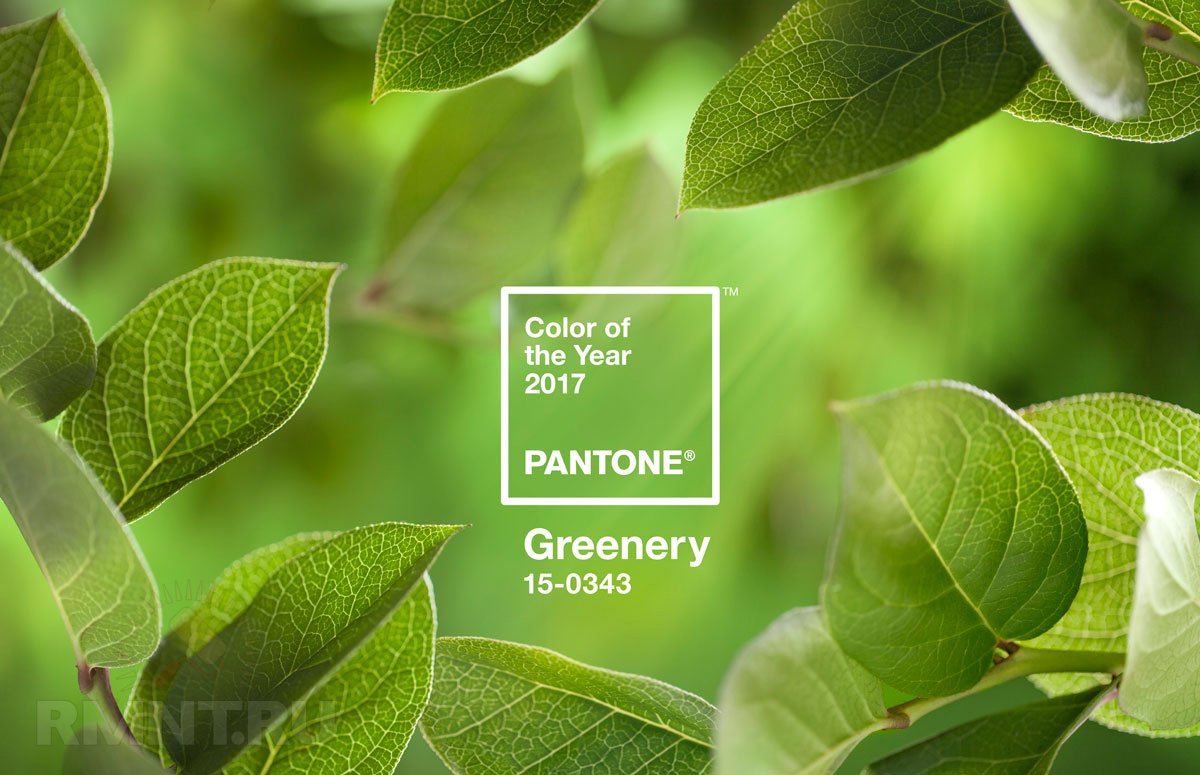 Цвет в интерьере: Greenery — цвет 2017 года по версии Pantone Color Institute