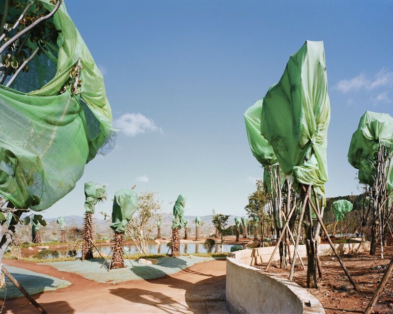 В Лондоне объявлены победители премии Sony World Photography Awards 2019 В Лондоне объявлены победители премии Sony World Photography Awards 2019 фотография