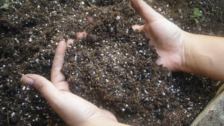 Гранулы калийного удобрения перемешивают с почвой 