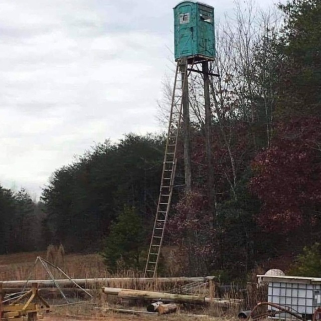 Подборка прикольных фото Подборка прикольных фото смешные картинки