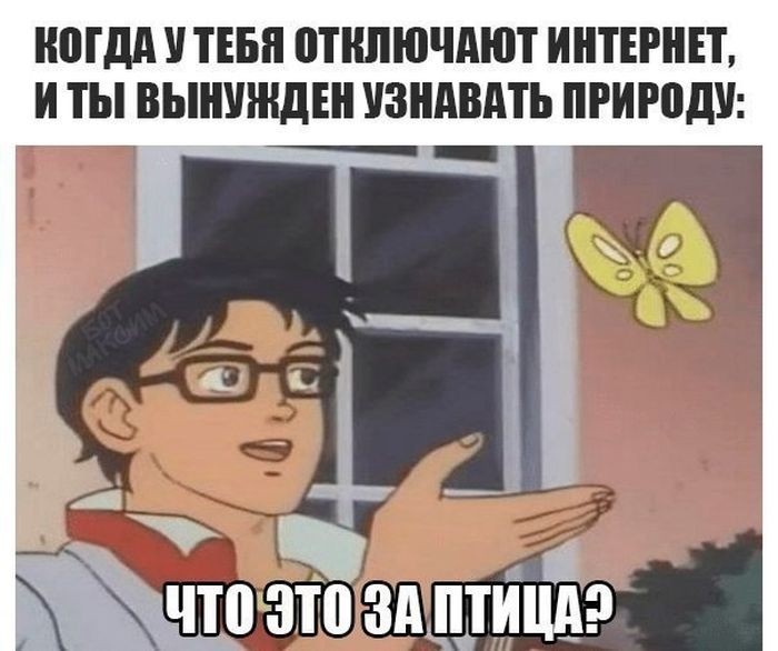 Подборка прикольных фото  (101 фото)