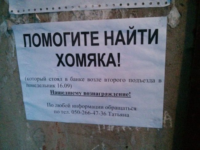 Забавные надписи в подъездах. Злые и добрые Забавные надписи в подъездах. Злые и добрые