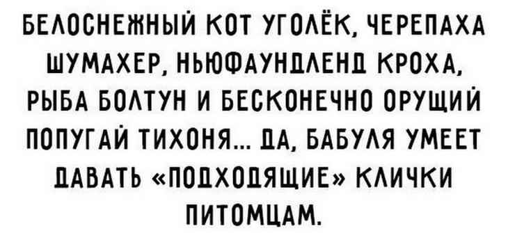 Есть женщины в русских мегаполисах.. Есть женщины в русских мегаполисах.. анекдоты,веселье,демотиваторы,приколы,смех,юмор