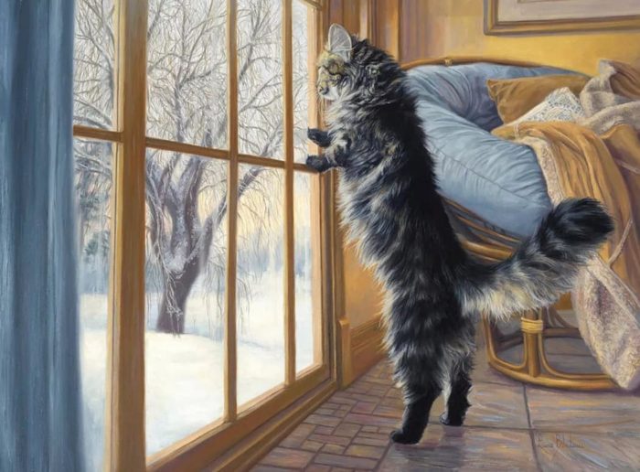 Художник Lucie Bilodeau. Пушистый живой генератор уюта