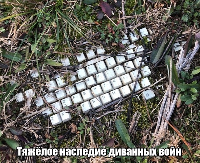 Подборка прикольных фото Подборка прикольных фото смешные картинки