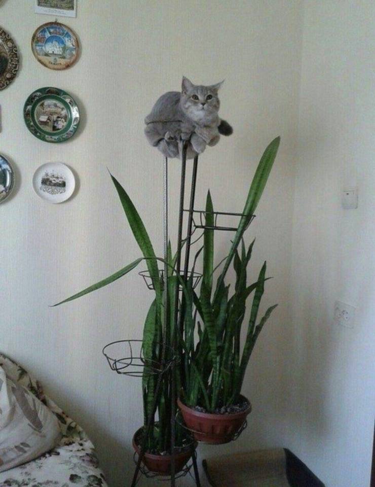 Подборка прикольных картинок Подборка прикольных картинок приколы,смешные картинки,юмор