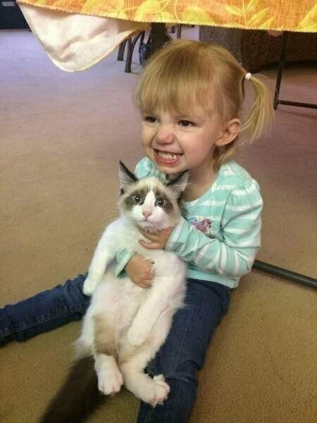 О дружбе О дружбе