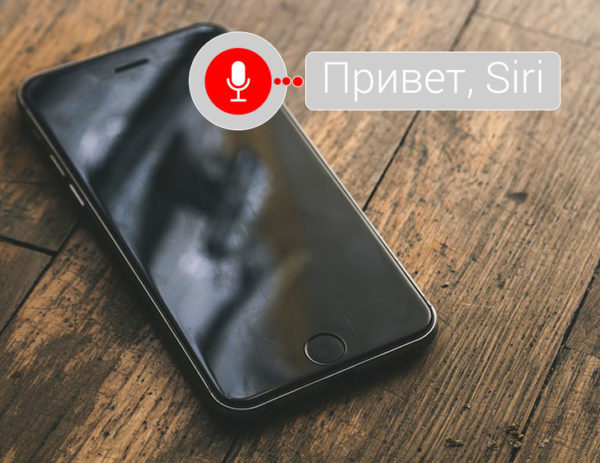 Есть вопросы, которые неуместно задавать Siri