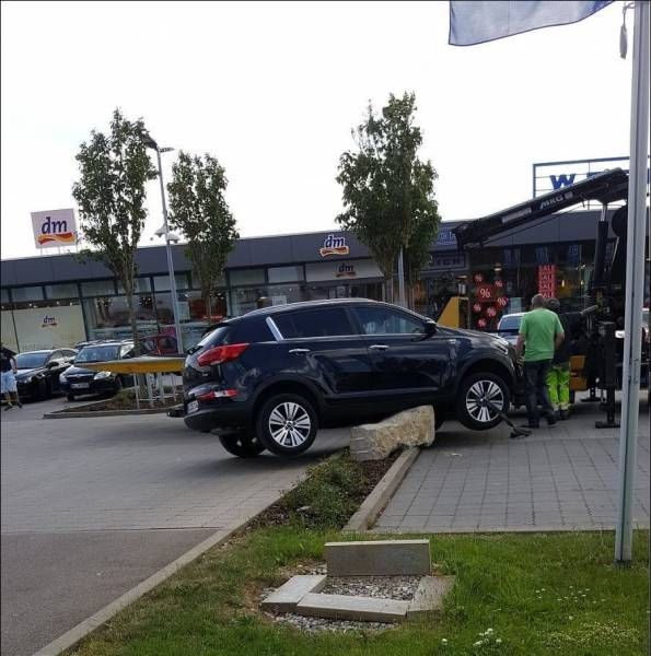 Прикольные картинки картинки из сети, прикол, юмор