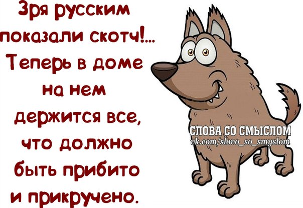 Если в 40 перепрыгиваешь турникет, то здоровье в порядке, но над жизнью стоит призадуматься анекдоты,веселые картинки,приколы,юмор