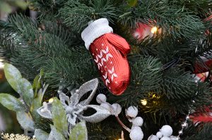 Цикл онлайн-встреч организуют работники библиотеки имени Антона Дельвига. Фото: Анна Быкова