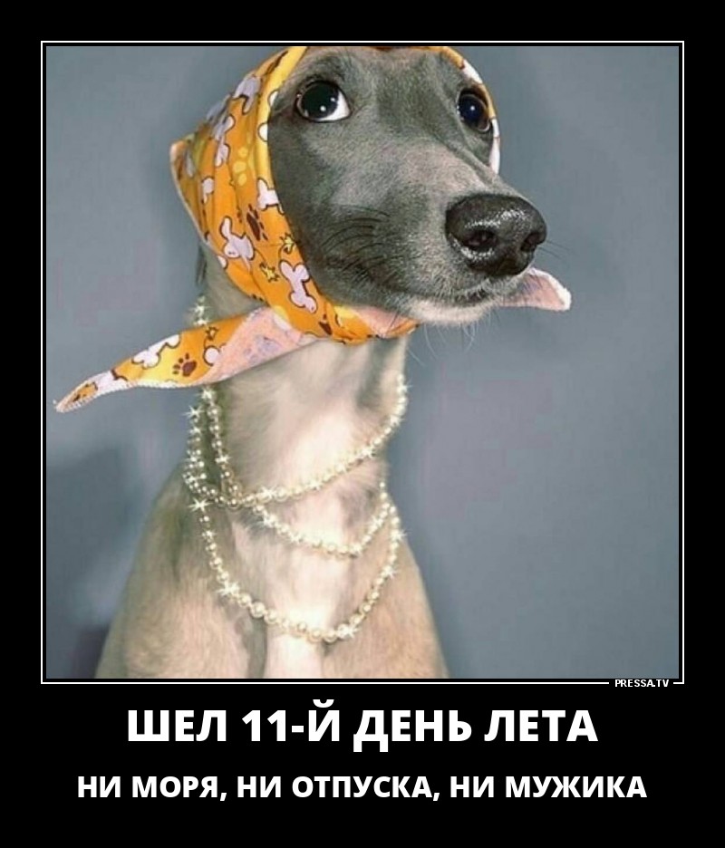 Смешные картинки приколы демотиваторы