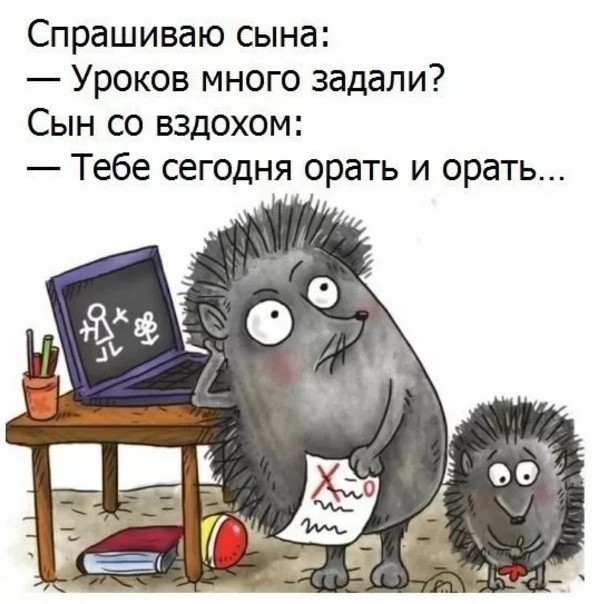 Смешные картинки с надписями про домашнее задание