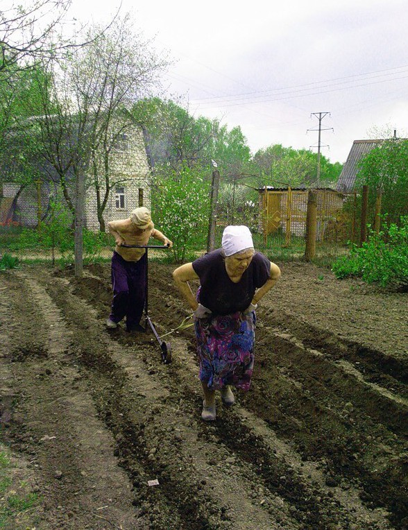 Настоящие папины дочки: чудеса отцовского воспитания мужчины, может, плохие — Ну, потомуто, сами…Хотя, чинят, женщины, дороги, плохие, жалуются, Казалось, войнаПока, вдруг, жизниА, тяготы, приучены переносить, детства, видно, решенаСразу, руках