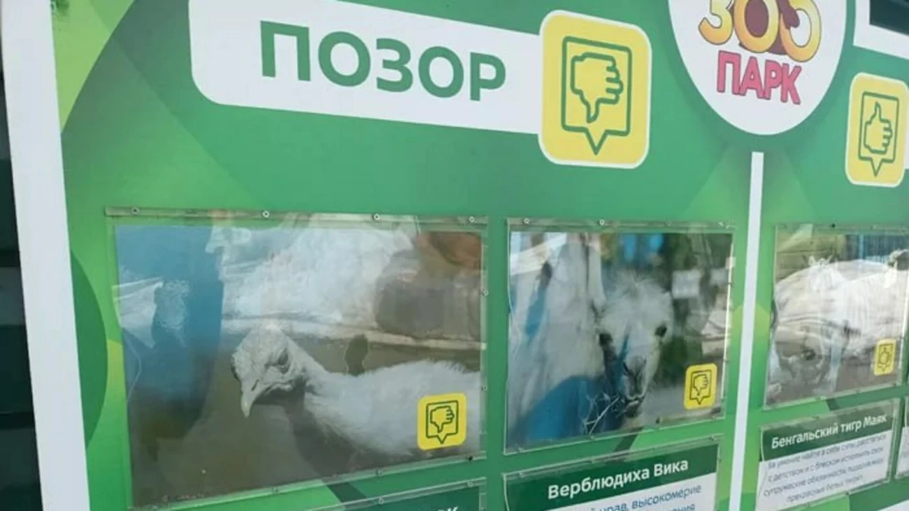 Доска позора появилась в Барнаульском зоопарке