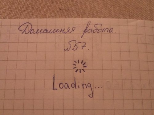 Смешные вывески и объявления (28 фото)