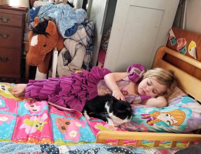 cette-peitte-chatte-recueillie-avait-03s