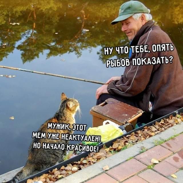 Юмор из интернета 640 позитив,смех,улыбки,юмор