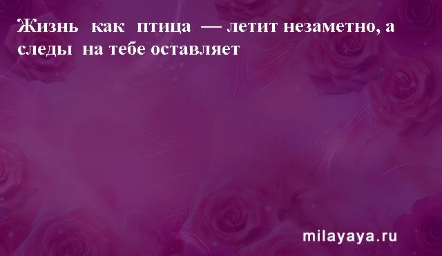 Картинки со статусами. Подборка milayaya-status-milayaya-status-03310529062020-13 картинка milayaya-status-03310529062020-13