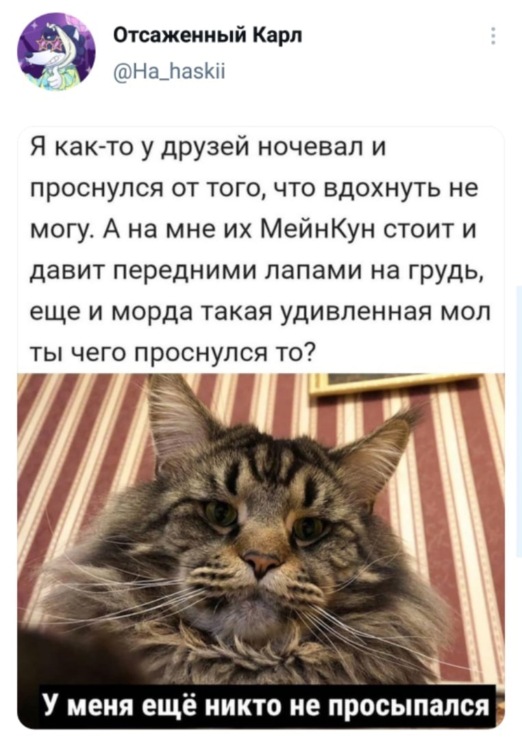 Юмор из интернета 640 позитив,смех,улыбки,юмор