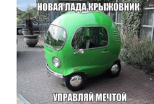 Сидит мужик на кухне, вдруг выползает таракан и говорит Сидит мужик на кухне, вдруг выползает таракан и говорит анекдоты