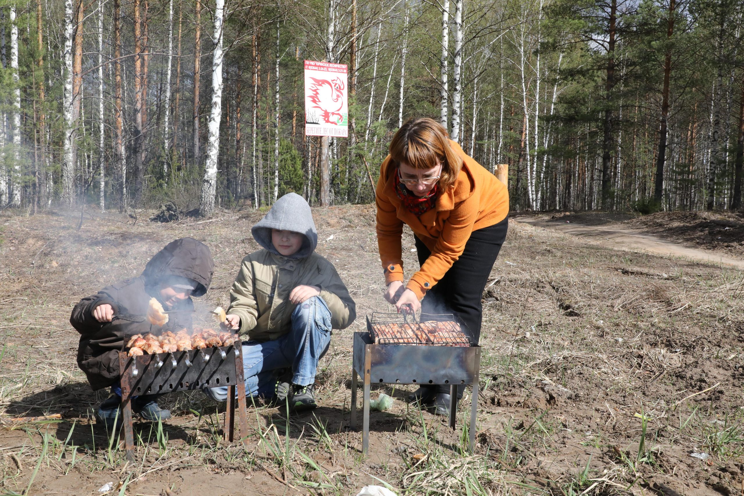 В каких парках можно жарить шашлыки. Шашлыки. Шашлыки в парке. Пожарить шашлык. Парк для шашлыков.