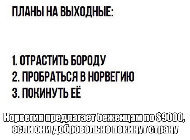 Планы на выходные. Планы на выходные юмор. Мемы про Норвегию. Планы на выходные цитаты.