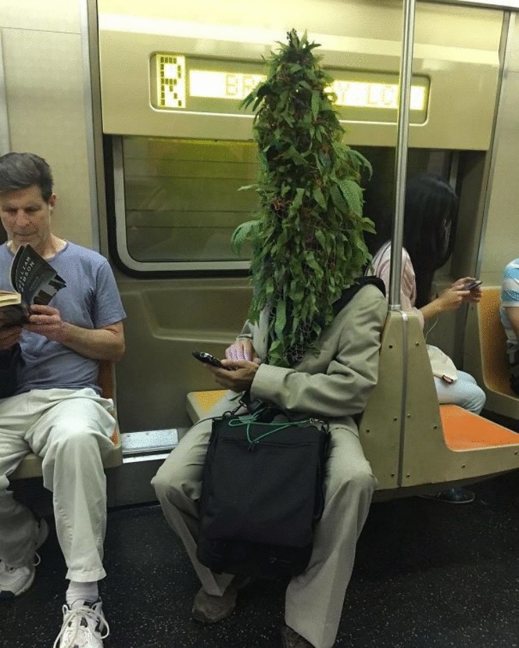 20 странноватых пассажиров метро, которые скрасят даже самую скучную дорогу на работу 