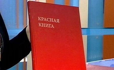 Красная книга Вологодской области: редкие животные и растения