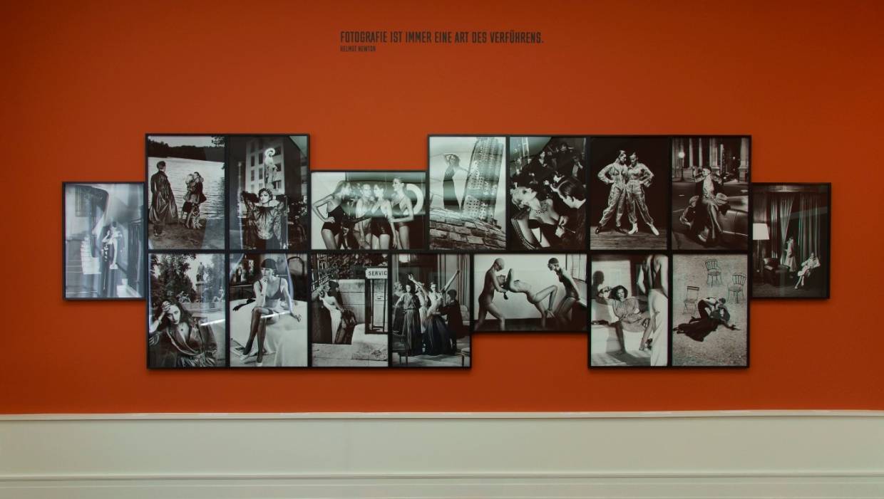 Куда сходить на новогодних каникулах в Петербурге Общество