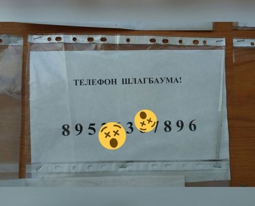 Смешные вывески и объявления (28 фото)