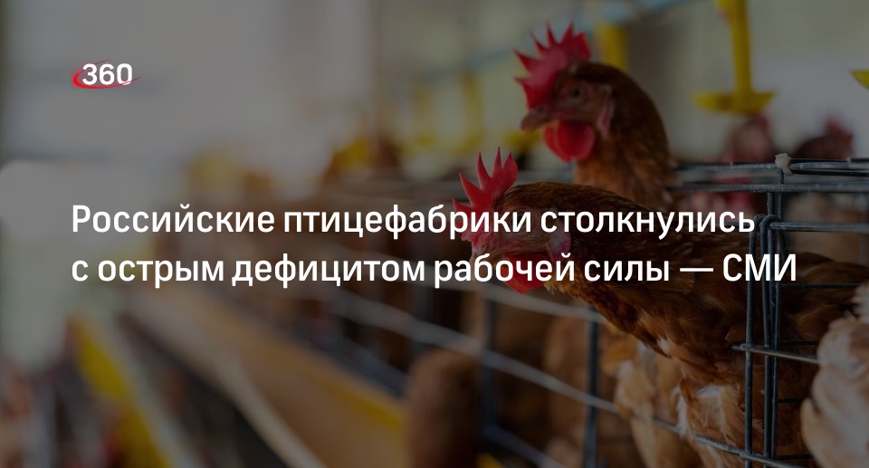 Коммерсантъ: птицефабрики в РФ столкнулись с нехваткой рабочей силы